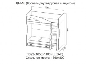 ДМ-16 Кровать двухъярусная с ящиком в Усолье - usole.magazin-mebel74.ru | фото