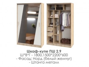 шкаф-купе ПШ-2.9 1500 Норд Белый жемчуг 1500 в Усолье - usole.magazin-mebel74.ru | фото