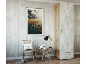 Шкаф распашной Ш619ЯМК Пайн в Усолье - usole.magazin-mebel74.ru | фото