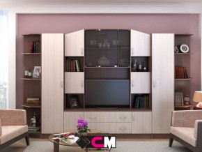Стенка Макарена ЛДСП в Усолье - usole.magazin-mebel74.ru | фото